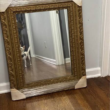 Mirror 1