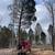 Land Clearing, Mulching, BrushCutting,Stump Removal, FencePost Driving 17 thumbnail