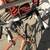 Schwinn le tour firm 9 thumbnail