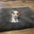 Mini Aussie 5 thumbnail