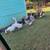 Ducks 5 thumbnail