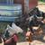 Laying Hens 1 thumbnail