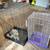 Pair of pet rodent enclosures 1 thumbnail