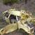 Looking for old cars or trucks. 2 thumbnail