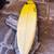 Stewart S-Winger 8’4” E-Type Epoxy Surfboard + 5 Fins (Barely Used) 6 thumbnail