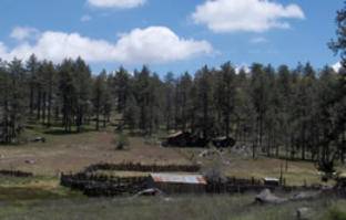 $100 And Up. Cabins, Motels, Forest, Mountains, Views, Hiking (Mount Laguna, CA 91948)63998602572546123