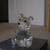 Crystal Teddy Bear Figurine 1 thumbnail