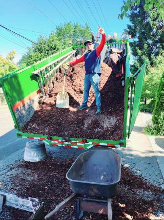 🪻🌷PEDRO'S Yard Work & Clean Up Service FREE ESTIMATE 🌻 New Projects 1