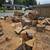 Cutting wood 1 thumbnail
