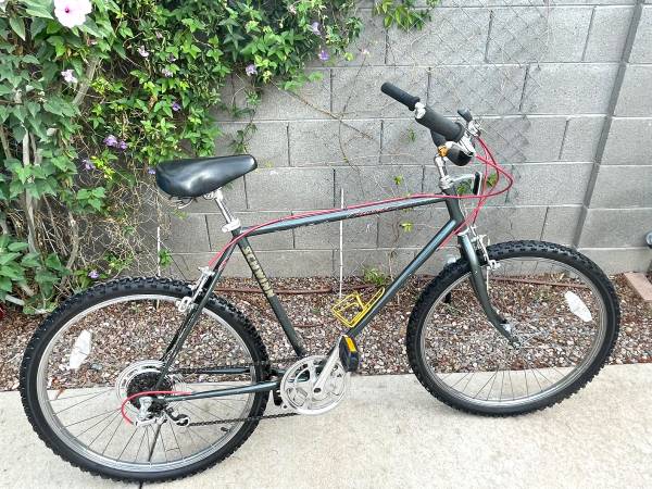 SCHWINN CRUISER 1
