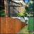Junk Removal, Yard Clean-up, Landscape, Tree Service and Concrete (Yard Clean-up 17 thumbnail