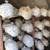 Free mushroom compost in plastic bags 2 thumbnail