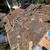 Roofing Replacements & Repairs - Licensed & Bonded - Free Estimates! 17 thumbnail