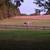 Horse Boarding 5 thumbnail