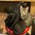 Kittens 2 thumbnail