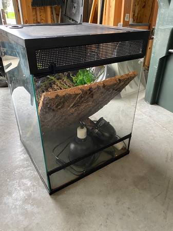 terrarium lizard cage and accessories 1