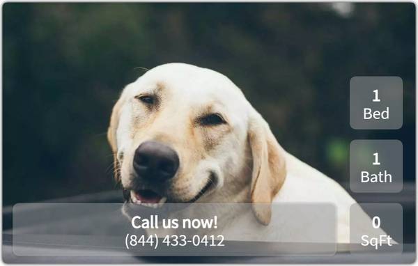 1 Bed / 1 Bath. Convenient in-home washer and dryer included. 1