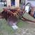 4 Bottom Allis Chalmers Disc Plow - Athens 1 thumbnail