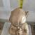 Golden Paper Mache Angel 10 thumbnail