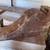 Used cedar corbels, etc. ($25 each) 2 thumbnail
