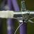62CM Cilo New Build 2 thumbnail