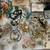 Costume Jewelry, 95 years worth! 3 thumbnail