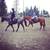 Confidence building riding lessons 3 thumbnail
