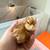 Barnyard Mix Chicks – Easter Egger / Olive Egger Crosses 4 thumbnail