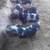 4 bottle piglets 6 thumbnail
