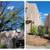 Irrigation, Weeds Landscaping Cleanup & Maintenance 20 thumbnail