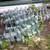 HIGH-VOLTAGE ELECTRICAL INSULATORS 3 thumbnail