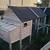 Multiple chicken coops/pens 2 thumbnail