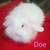 Lion lops blue eyes, lion heads 8 thumbnail