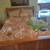 Queen size Amish sleigh bedroom set 1 thumbnail