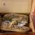 NEW BOXED Clarks Skylark Tap Kid Animal Print size 10.5 1 thumbnail