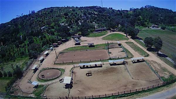 ranch de caballos busca un voluntario para ayudar a sacar y cepillar (Ramona)63776197821697120
