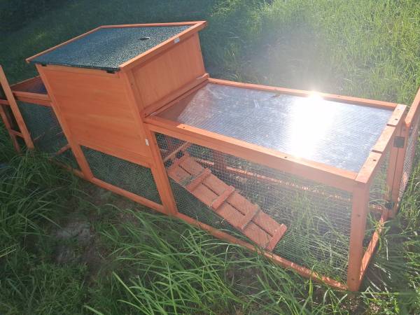 Bunny house 1
