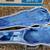 Meisel 1/2 size violin hardcase. 8 thumbnail