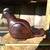 Vintage 9 1/2 " Hand Carved Ironwood Grouse Figurine 2 thumbnail