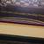 Byron Birdsall Chessboard & Lemon Hibiscus Art Print 5 thumbnail