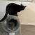 Cats 4 thumbnail