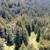 Furnished Small Room WiFi,45acre Redwood Retreat,Cat ok,flexible lease 23 thumbnail