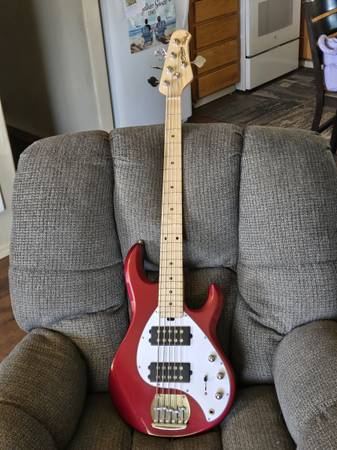 Sterling stingray 5 string bass 1