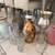 Kitchenwares 4 thumbnail