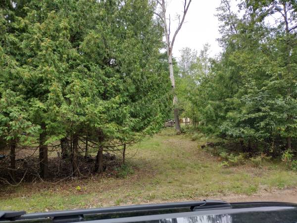 $9,995 Nice site for camping - near lake and town (Skidway Lake, MI)64037895072513120