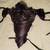 Quality Leather Hand Made Cosplay Armor 6 thumbnail