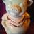 Smiley Pig Cookie Jar - Shawnee Pottery 4 thumbnail