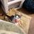 Kitten 2 thumbnail