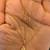14K Yellow Gold necklace with Beautiful Pendant in shape of a Leave 7 thumbnail