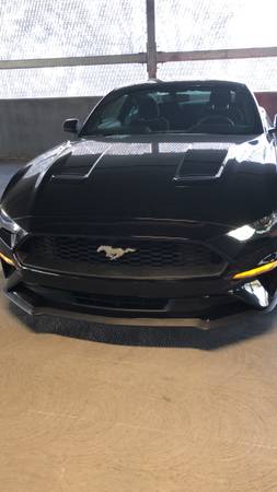 Ford Mustang Ecoboost 2018 - $18,499 (san jose norte)63654699812995120